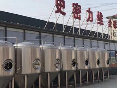 济宁精酿啤酒设备厂—市场规模与跨界新需求